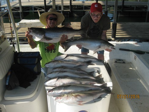 Nice Striped Bass
